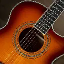 Washburn-Festival-EA15-2.webp
