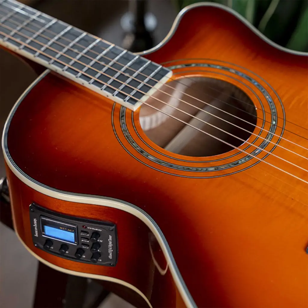 Washburn-Festival-EA15-5.webp