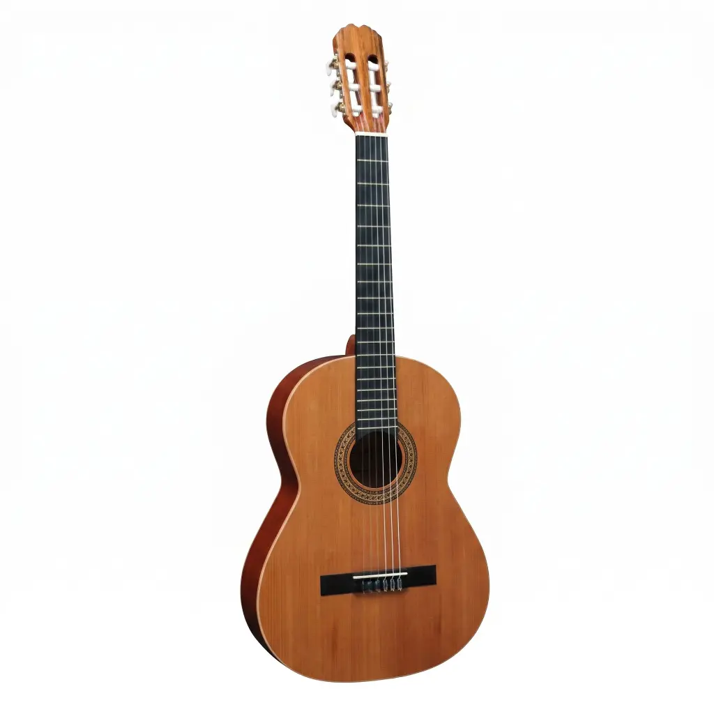 Tasty-Fitness-Classical-Guitar-1.webp