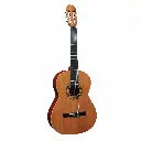 Tasty-Fitness-Classical-Guitar-1.webp