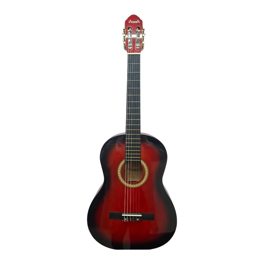 Tasty-Fitness-Classical-Guitar-2.webp