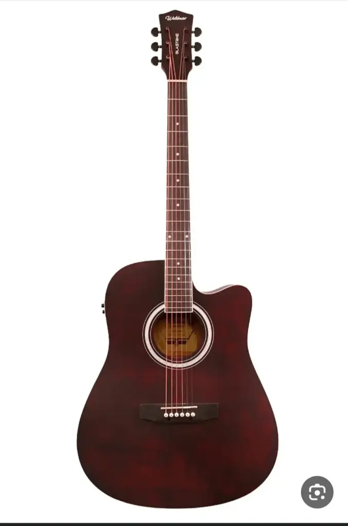 Electric Guitar WALDMAN