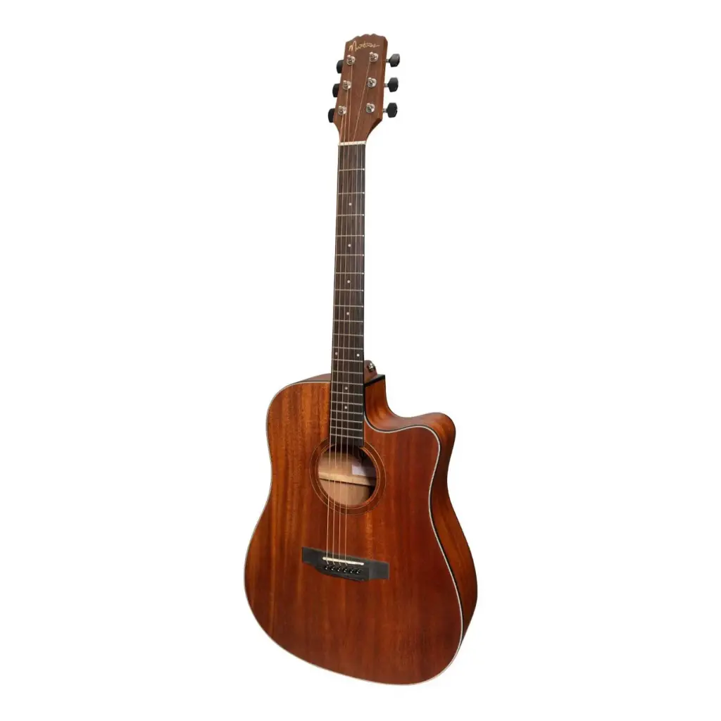 Restorc Acoustic-Electric Guitar