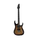 Electric Guitar