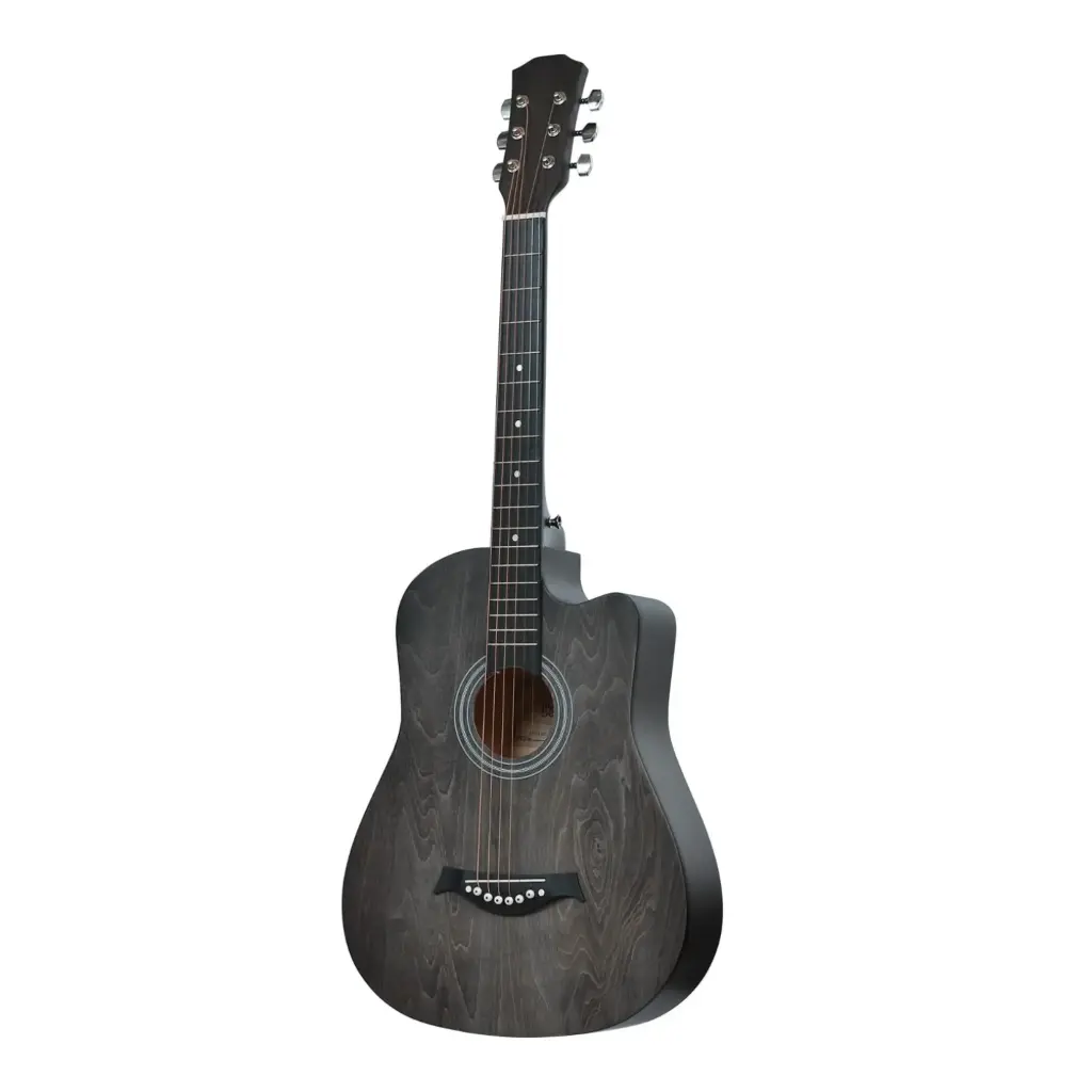 Waldman Blastone Acoustic-Electric Guitar
