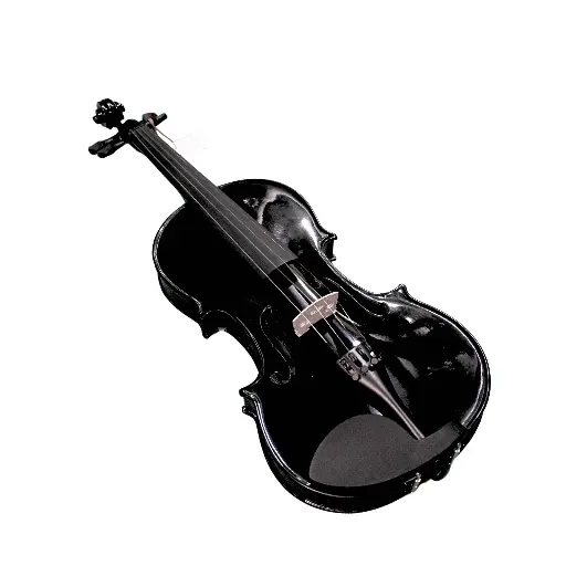 Black Violin European
