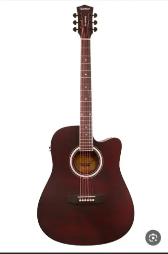 [c30] Electric Guitar WALDMAN